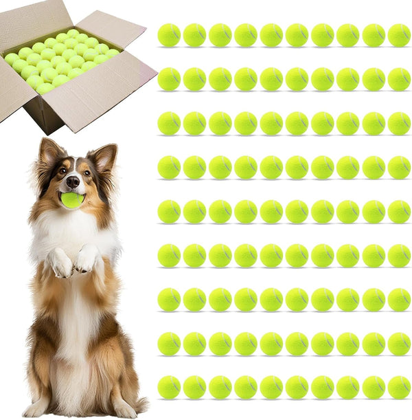 Magicorange Tennis Balls for Dogs,Colorful Easy Catching Dog Balls,4 Pack | Bright Yellow/Pink/Orange/Blue Dog Playing Balls, Easy to Spot and Fetch, with Mesh Bag for Training and Outdoor Fun11