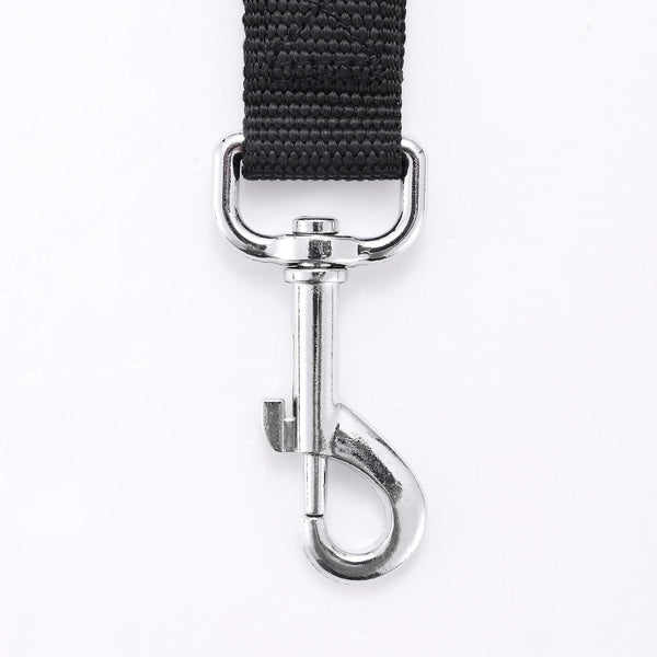 Strong Durable Nylon 10Ft Long Dog Training Leash, Traction Rope, 1 Inch Wide, for Small and Medium Dog (Black, 10 Feet)4
