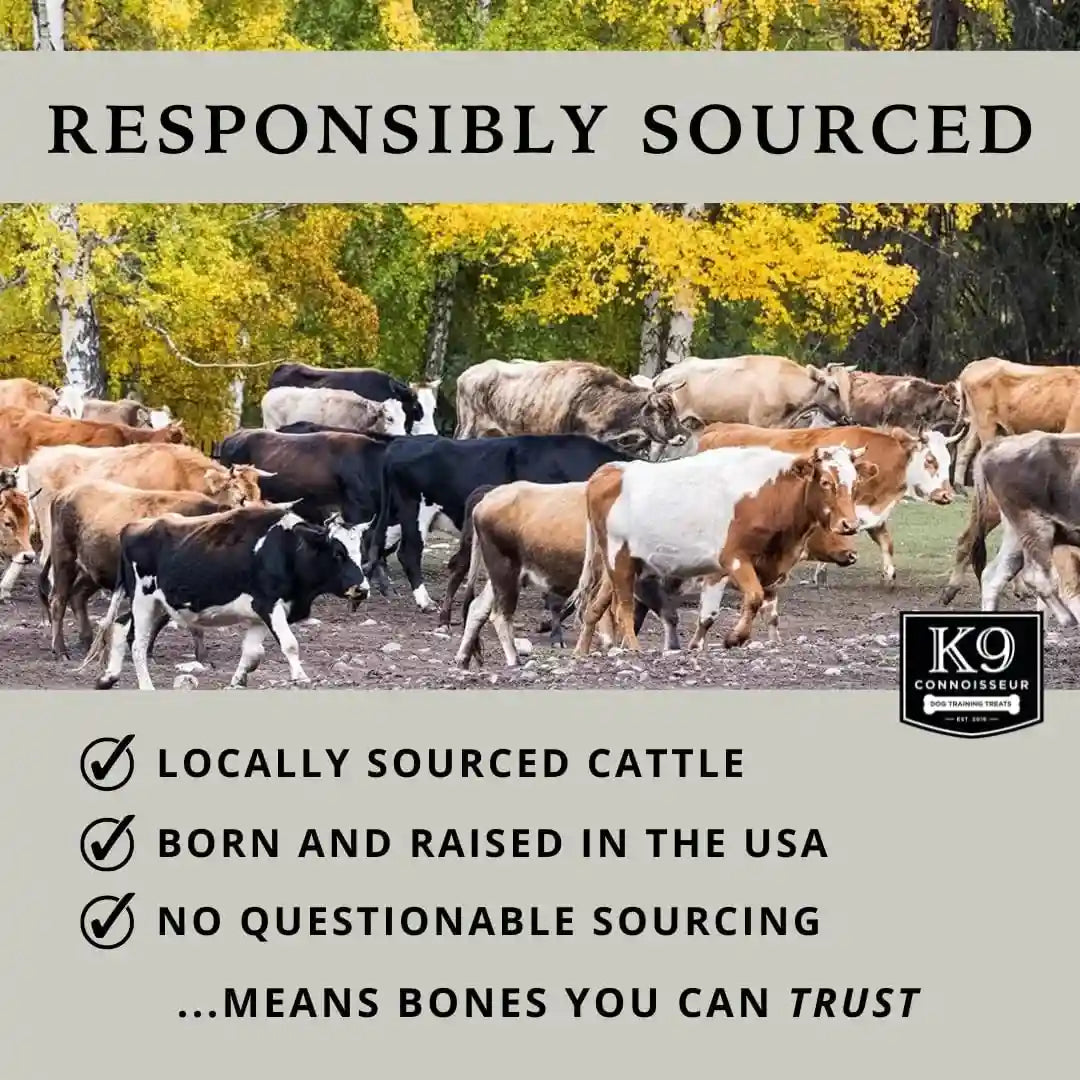 k9-connoisseur-beef-marrow-dog-bones-long-lasting-for-aggressive-chewers-usa-made-single-ingredient-dynamo-bone-for-small-and-medium-dogs-upto-50-pounds-6-pack