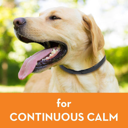 Thunderease Calming Collar for Dogs (Large) | Drug-Free and Easy to Use. Pheromone Collar for Dogs Easily Clips on and Helps Relieve Stress from Common Triggers5