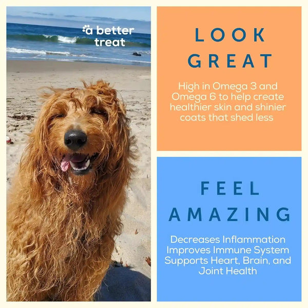 A Better Treat – Freeze Dried Salmon Dog Treats, Wild Caught, Single Ingredient | Natural High Value | Gluten Free, Grain Free, High Protein, Diabetic Friendly | Natural Fish Oil | Made in the USA6