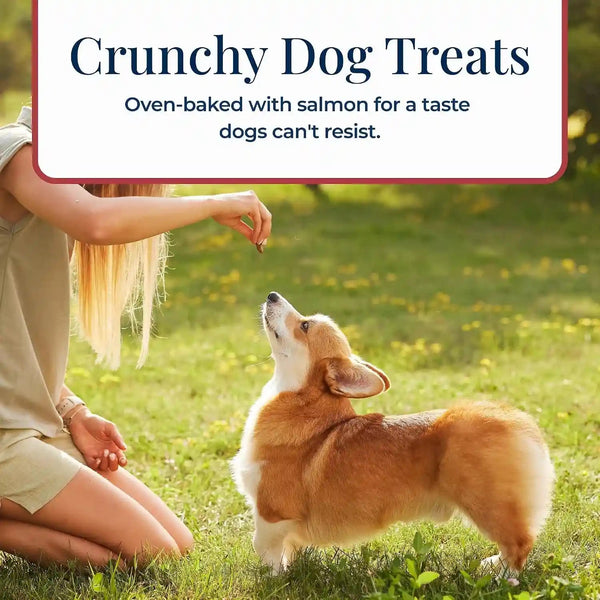 Blue Buffalo Basics Crunchy Dog Biscuits for Skin & Stomach Care, Limited Ingredient Diet Dog Treats, Salmon & Potato Recipe, 6-Oz. Bag5
