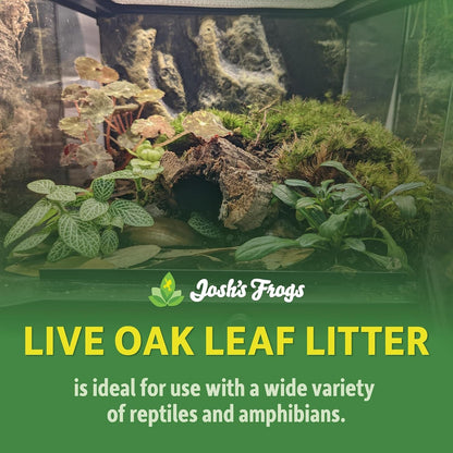 Josh'S Frogs Organic Live Oak Leaf Litter, 1 Gallon/500 Leaves | USA Collected2