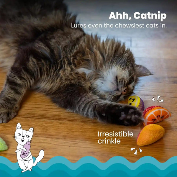 Catstages Dental Fruit Wedges 4 Pk, Soft and Textured Catnip Chew Toys That Help Clean Teeth, Multicolored3