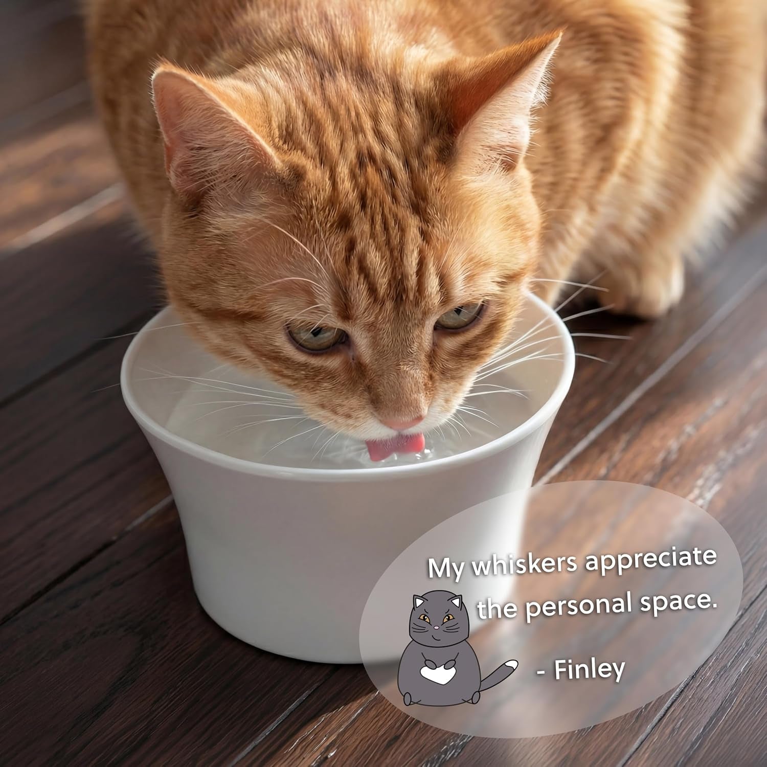 elevated-cat-bowls-for-water-whisker-neck-fatigue-shallow-cat-dishes-raised-bowl-for-indoor-cats-vet-recommended-height-modern-pedestal-design-non-slip-dishwasher-safe-8-oz-powder-blue