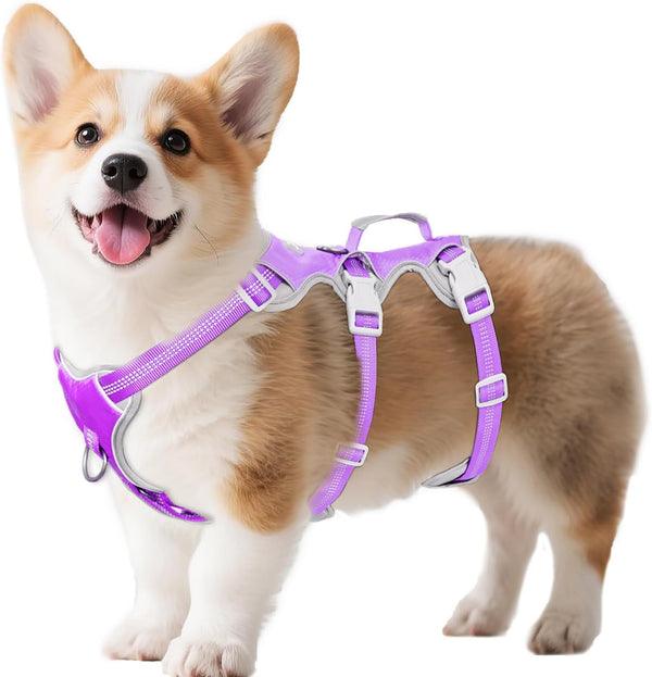 Huntboo Escape Proof Dog Harness, Escape Artist Harness, Reflective Harness with Padded Handle, Breathable, Durable, Adjustable Vest for Medium Dogs Walking, Training, and Running Gear (Blue, M)21