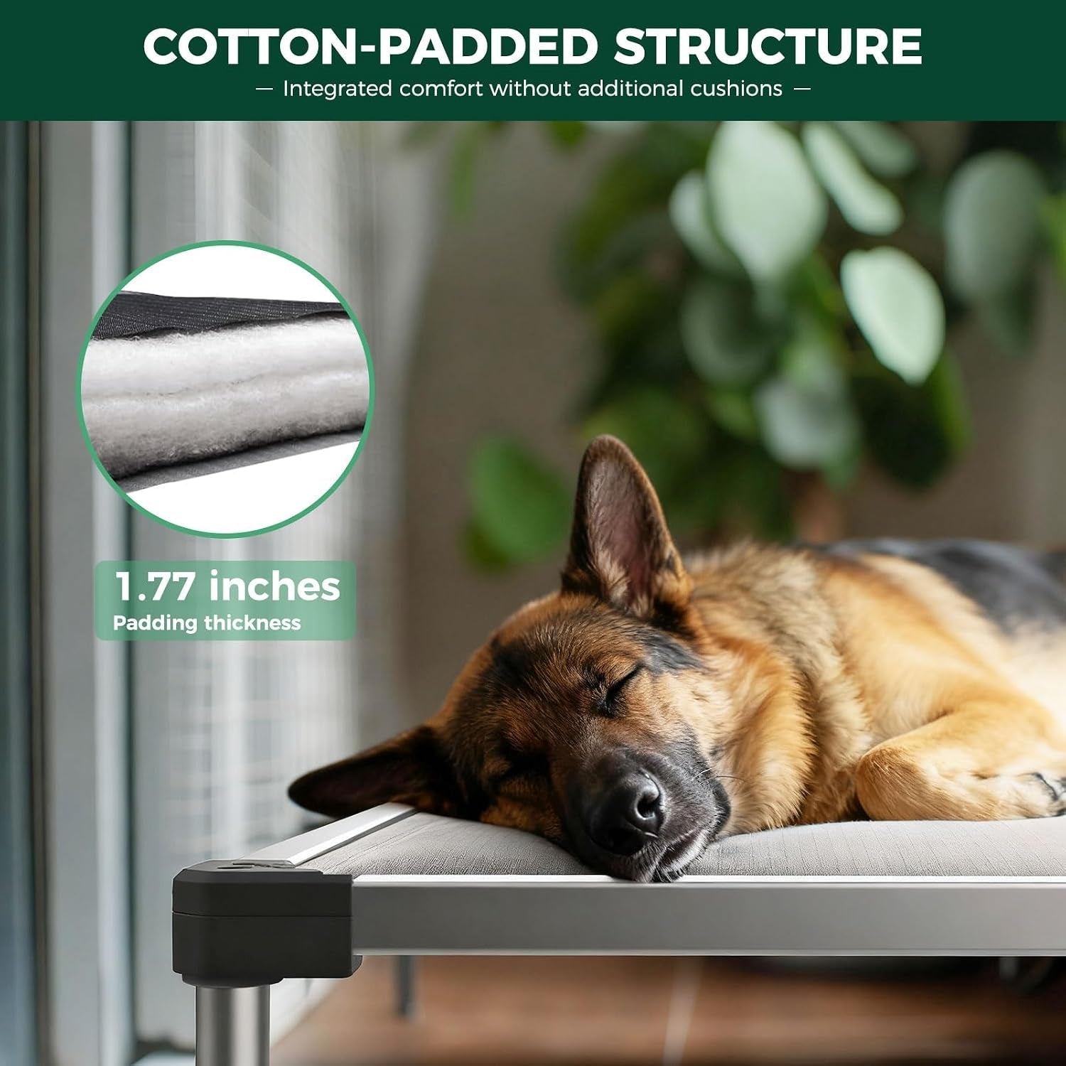 fxw-titannest-padded-chew-proof-elevated-dog-bed-for-large-dogs-easy-to-clean-pre-assembly-raised-cot-indoor-outdoor-camping-47-x-29-x-7-3in