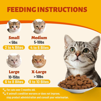 330 Bites Pumpkin Cat Treats, Natural Cat Treats Healthy with Pumpkin Powder for Cats, Psyllium Husk, Digestive Support Kitten Snacks for Stool Firm & Gut Health5