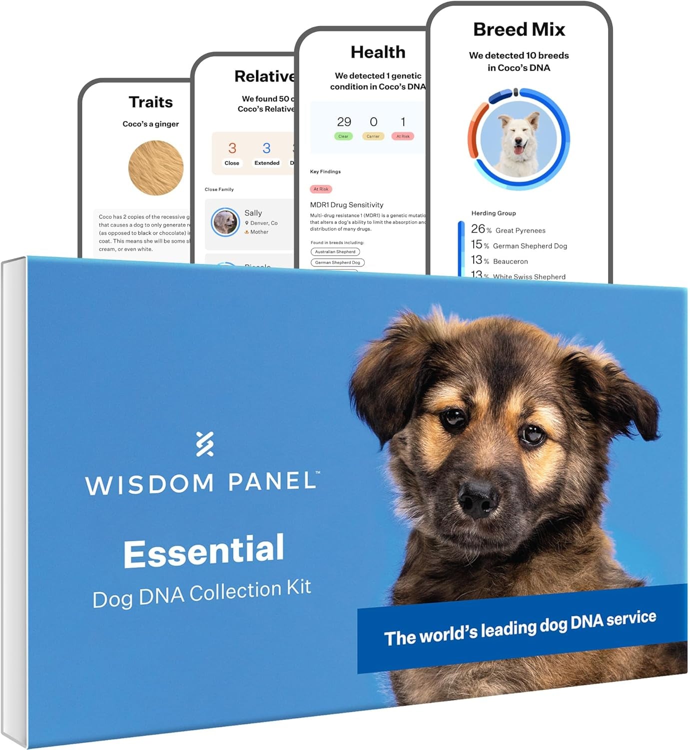 wisdom-panel-essential-dog-dna-testing-kit-most-accurate-test-for-430-dog-breeds-30-genetic-health-conditions-50-traits-relatives-ancestry-1-pack
