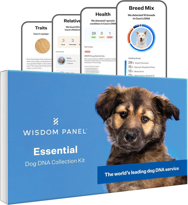 Wisdom Panel Essential Dog DNA Testing Kit - Most Accurate Test for 430+ Dog Breeds, 30 Genetic Health Conditions, 50+ Traits, Relatives, Ancestry, 1 Pack1