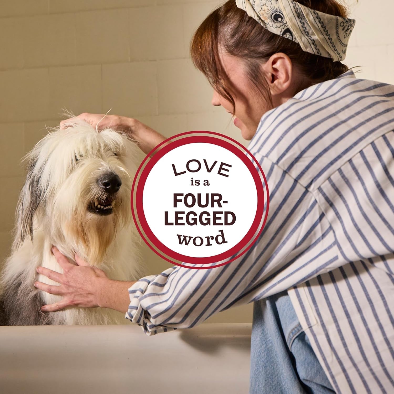 mrs-meyers-clean-day-dog-deodorizing-spray-sweet-chamomile-scent-8oz