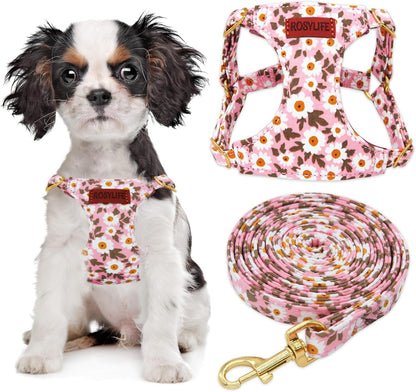 No Pull Dog Harness & Leash Set, Adjustable Xx-Small, Pink Daisy, Fashionable, Cute, Stylish, Escape Proof, Includes Leash1