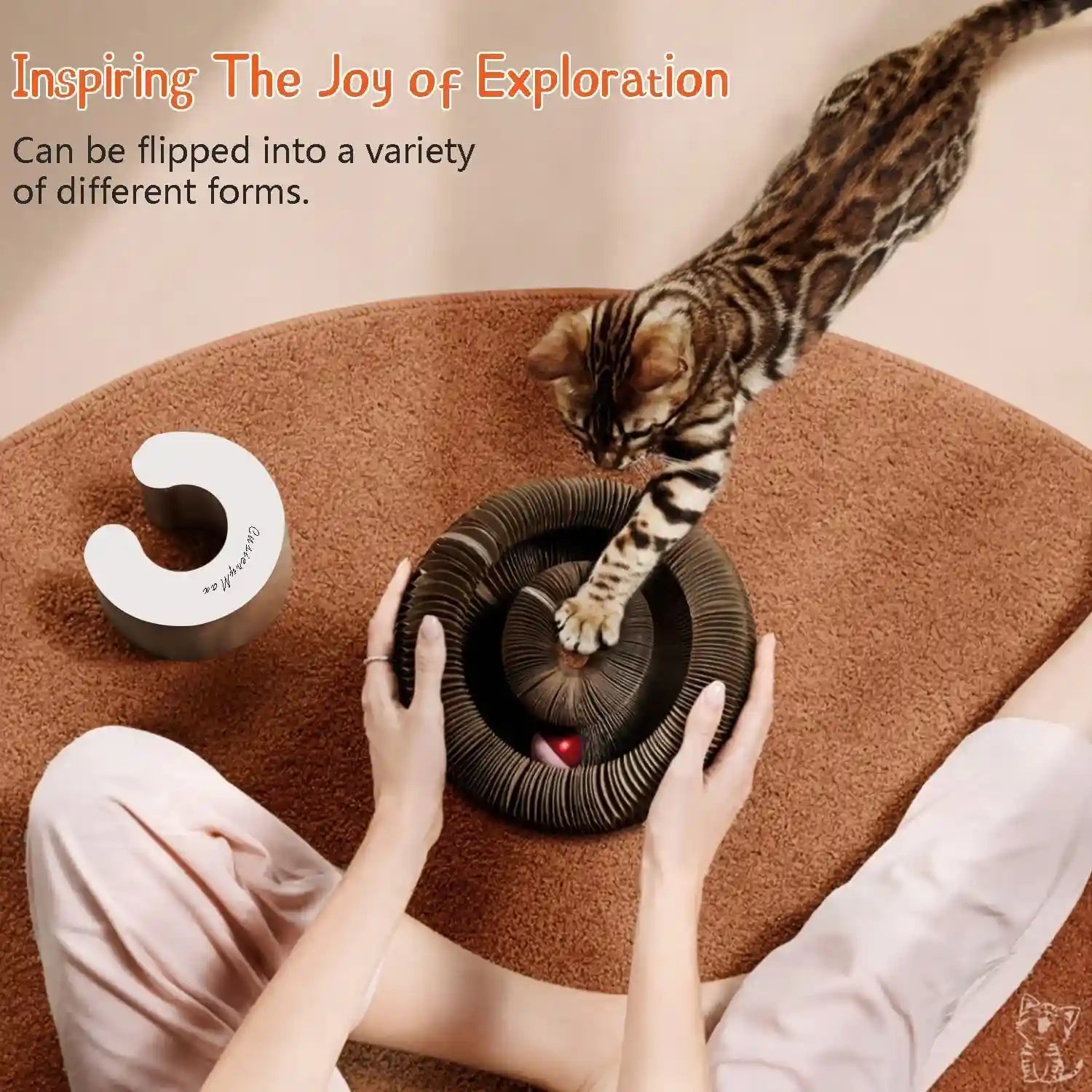 cusierymax-cat-ball-adventure-the-ultimate-interactive-mental-physical-exercise-for-indoor-cats