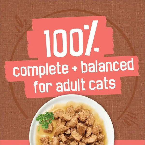 Purina Friskies Extra Gravy Wet Cat Food Chunky 24Ct Variety Pack (With Chicken, Turkey, Salmon, Beef) - (Pack of 24) 5.5 Oz. Cans6