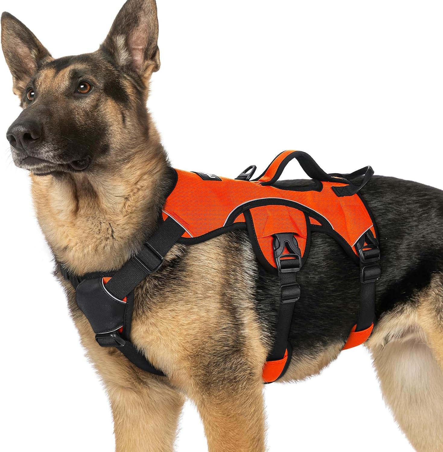 rabbitgoo-escape-proof-dog-harness-for-large-no-pull-with-lift-handle-no-escape-full-soft-padded-reflective-adjustable-vest-leash-clip-for-walking-hiking-training-black-large