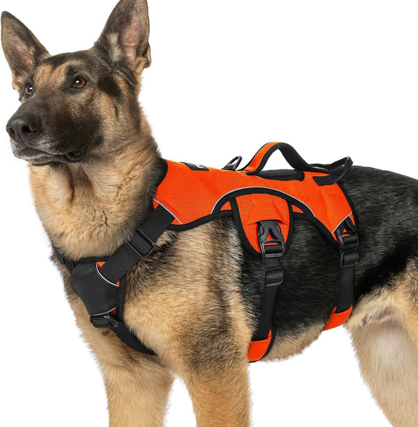 Rabbitgoo Escape Proof Dog Harness for Large, No Pull with Lift Handle | No Escape, Full Soft Padded, Reflective Adjustable Vest, Leash Clip for Walking Hiking Training, Black, Large41