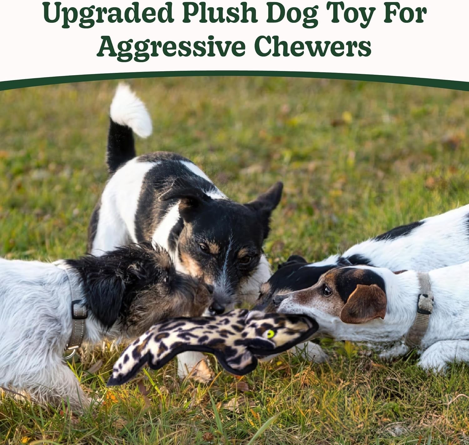 sharlovy-no-stuffing-dog-toys-crinkle-squeaky-long-lasting-chews-for-aggressive-durable-plush-dog-puppy-chew-toys-for-teething-with-6-tough-layers-for-small-medium-large-breed-5pack-large