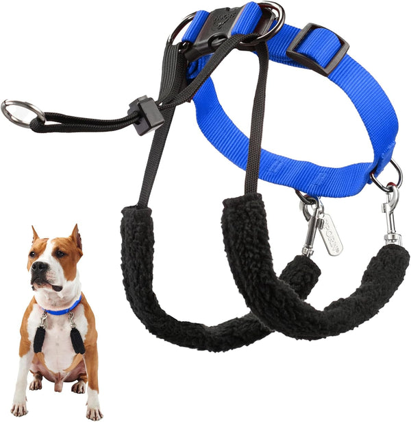 Sporn Head Halter for Dogs, No Pull Dog Harness, Durable Nylon Training Collar for Large Breeds, No Choke Design, Padded Restraints, Adjustable Fit, Easy On/Off, Black, Large9