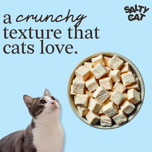 Salty Cat Natural Freeze-Dried Chicken Cat Treats, 10G Bag (12 Packs)4