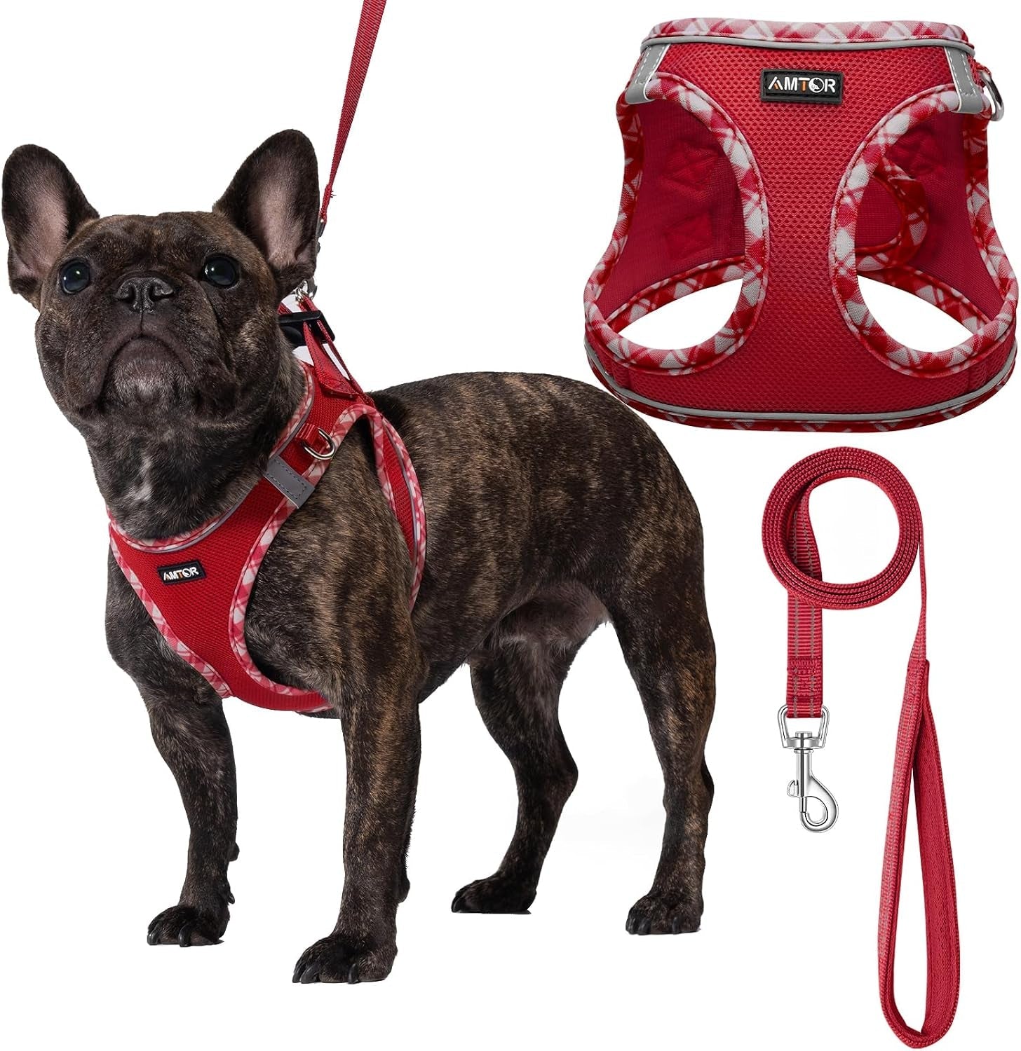 amtor-small-dog-harness-with-leash-set-no-escape-easy-walk-puppy-harnesses-for-training-walking-step-in-reflective-soft-dogs-vest-for-xs-s-medium-extra-small-large-sized-doggreen-s