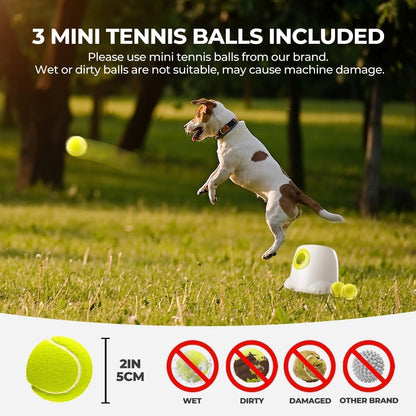 ALL for PAWS Automatic Dog Ball Launcher, Interactive Fetch Toy for Small to Medium Dogs, Pet Thrower Machine for Indoor & Outdoor Play, 3 Pcs 2-Inch Balls Included4