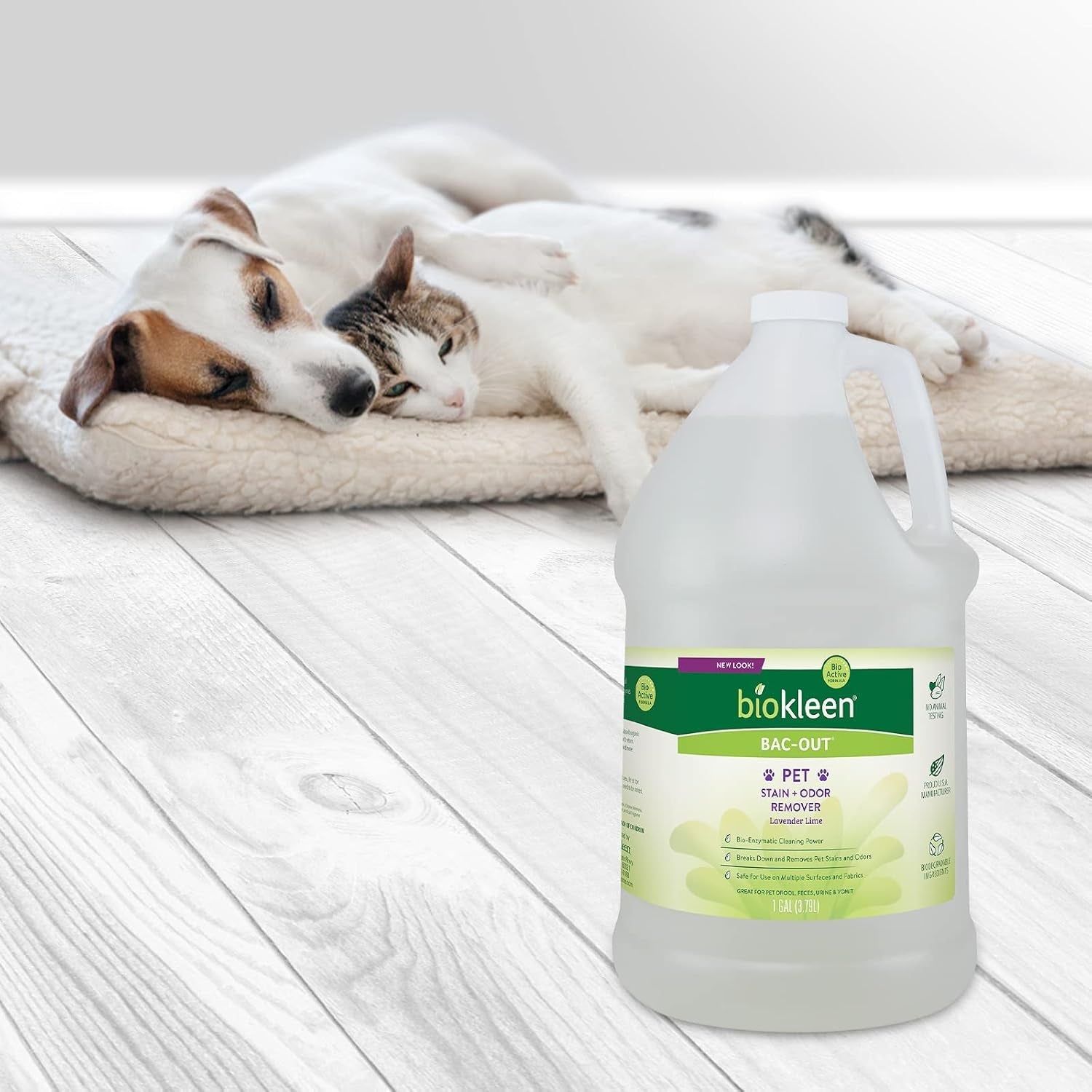 biokleen-bac-out-pet-stain-remover-enzymatic-natural-plant-based-destroys-stains-odors-safe-for-surfaces-fabrics-carpet-cleaner-eco-friendly-lavender-lime-scent-1-gallon
