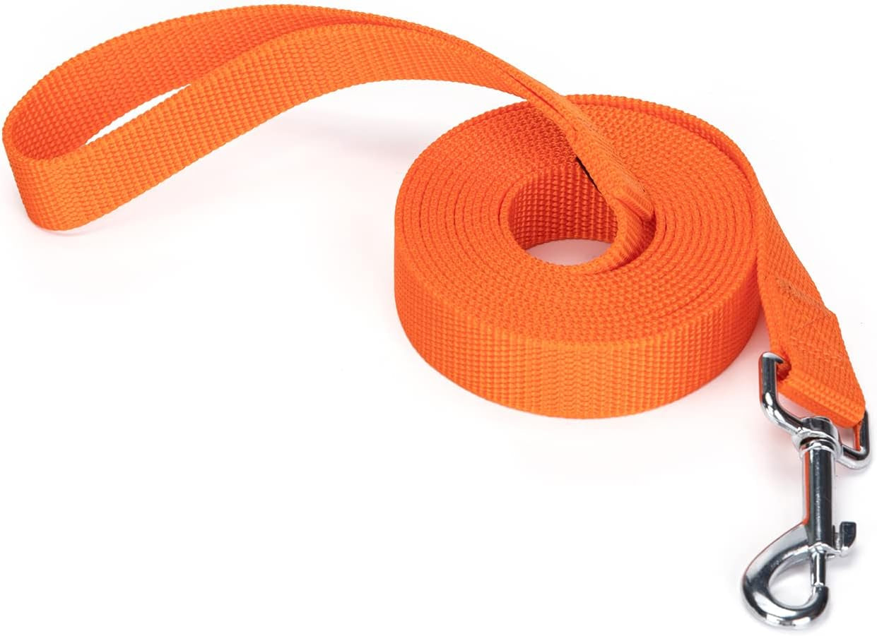strong-durable-nylon-10ft-long-dog-training-leash-traction-rope-1-inch-wide-for-small-and-medium-dog-black-10-feet