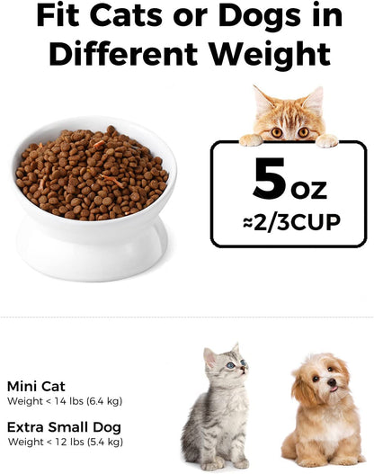 Loejan Elevated Cat Food Bowl, 5 Oz Ceramic Raised and Tilted Water Bowl, anti Vomiting and Protect Pets' Spines Dishes for Small Dog, Fat Faced Cat, Kitten (White, 1 Pack)2