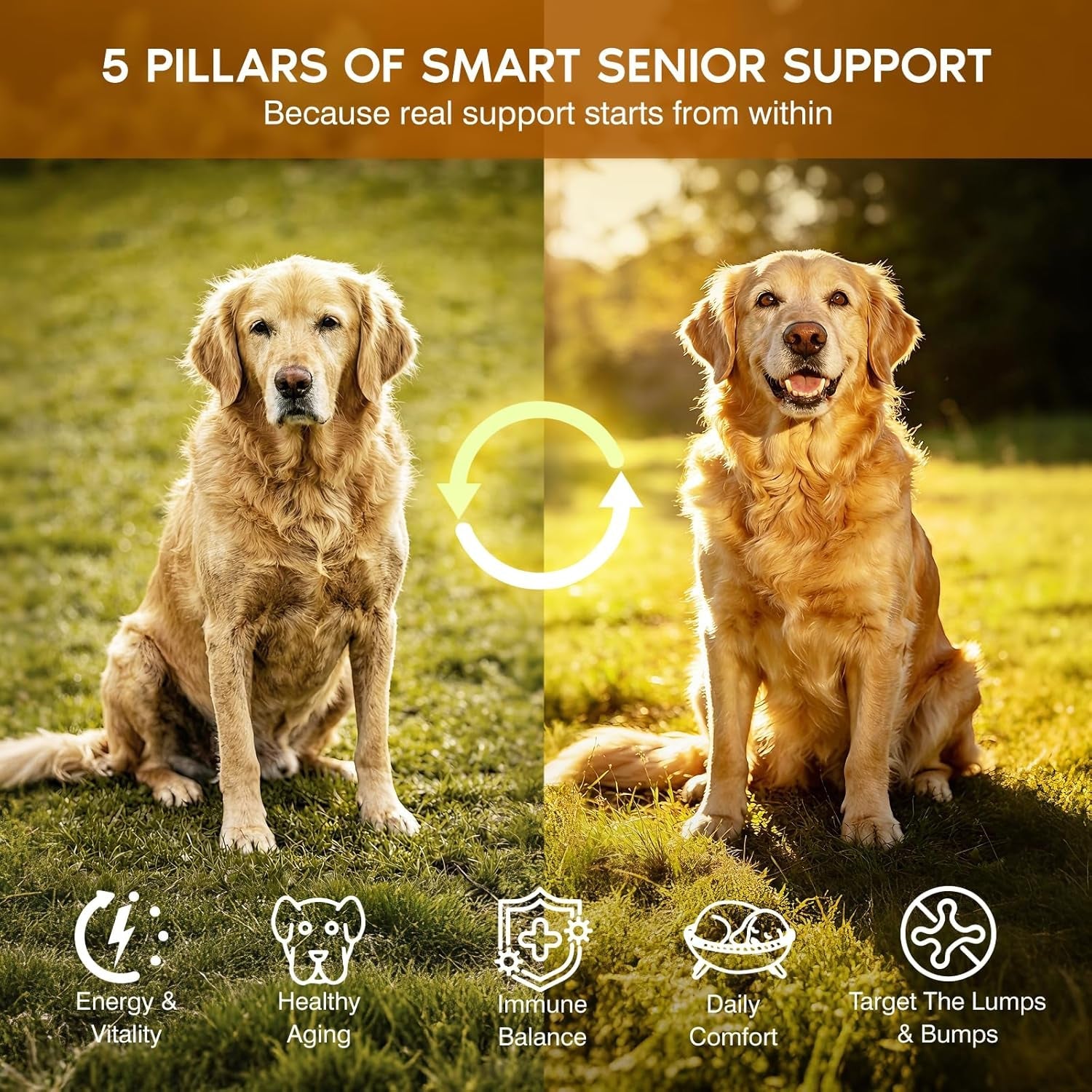turkey-tail-mushroom-for-dogs-senior-dog-supplement-for-lumps-bumps-lipoma-soft-chews-with-reishi-maitake-turmeric-astragalus-supports-immune-health-natural-chicken-flavor-120-count