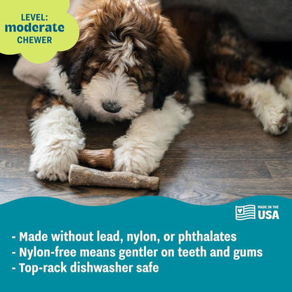Dogwood Calming Dog Chew Toy – Real-Wood Blend, Moderate Chewers, Medium, 7.5", 2-Pack (Natural & Hemp Flavors)4