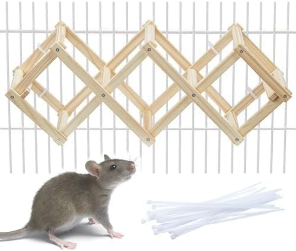 Kiln-Dried Wood Rat Climb Toy, Hanging Cage Ladder Activity (M, 1Pc) | Natural Rat Cage Bridge, Multiple Openings & Directional Ramps Offer Challenges to Satisfy Rats' Instincts for Explore & Play9