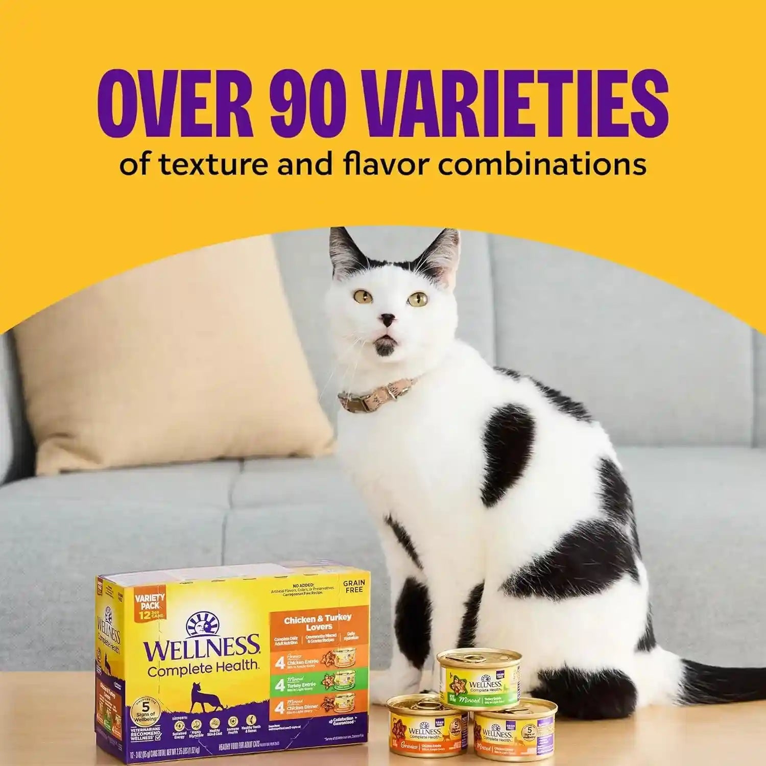 wellness-complete-health-pate-variety-pack-kitten-canned-wet-cat-food-natural-protein-rich-grain-free-whitefish-and-chicken-recipes-3-oz-pack-of-12-cans