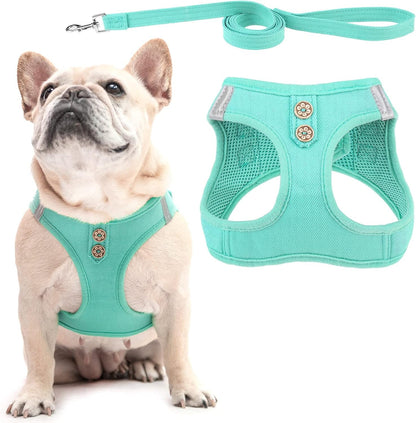 PUPTECK Dog Harness and Leash Set for Small Medium Dogs No Pull Step-In Soft Mesh Puppy Cat Vest Harnesses Reflective at Night, Green S46