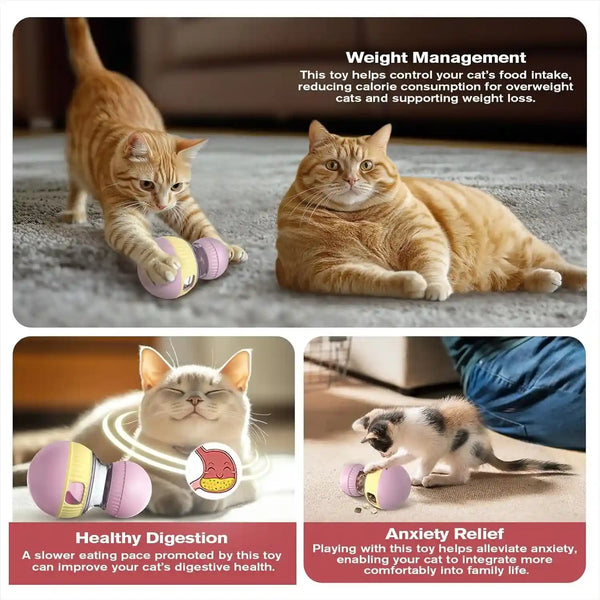 TLKNG Cat Treat Dispensing Toy Kitten Puzzle Feeder & Food Dispenser Ball - Kitty Enrichment Toys for Indoor Cats Kitty Stimulating Tous6