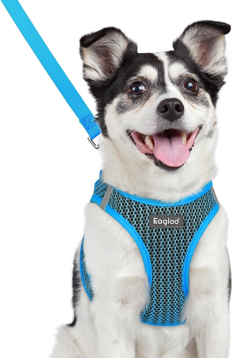 eagloo-small-dog-harness-and-leash-set-step-in-small-sized-puppy-pet-vest-light-soft-breathable-air-mesh-easy-on-and-off-with-hook-loop-reflective-for-safe-walking-pink-s