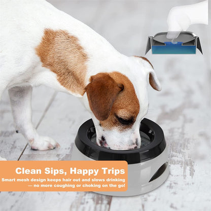 25Oz Spill-Proof Dog Water Bowl – Slow Drink, No-Splash Pet Feeder for Small/Medium Dogs, Cats, Puppies & Kittens, Non-Slip Portable Bowl for Car, Travel, Home – Grey2