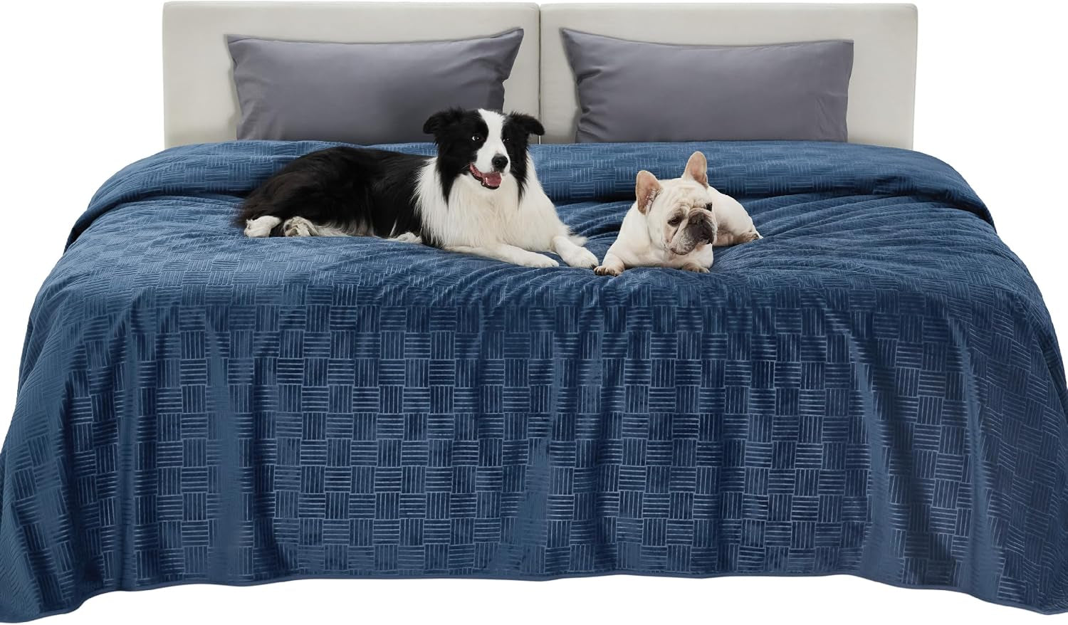 bedsure-waterproof-couch-cover-for-dogs-washable-waterproof-blanket-for-large-dogs-couch-sofa-bed-cozy-lightweight-furniture-protector-for-pet-cat-quick-drying-ash-grey-52x82in
