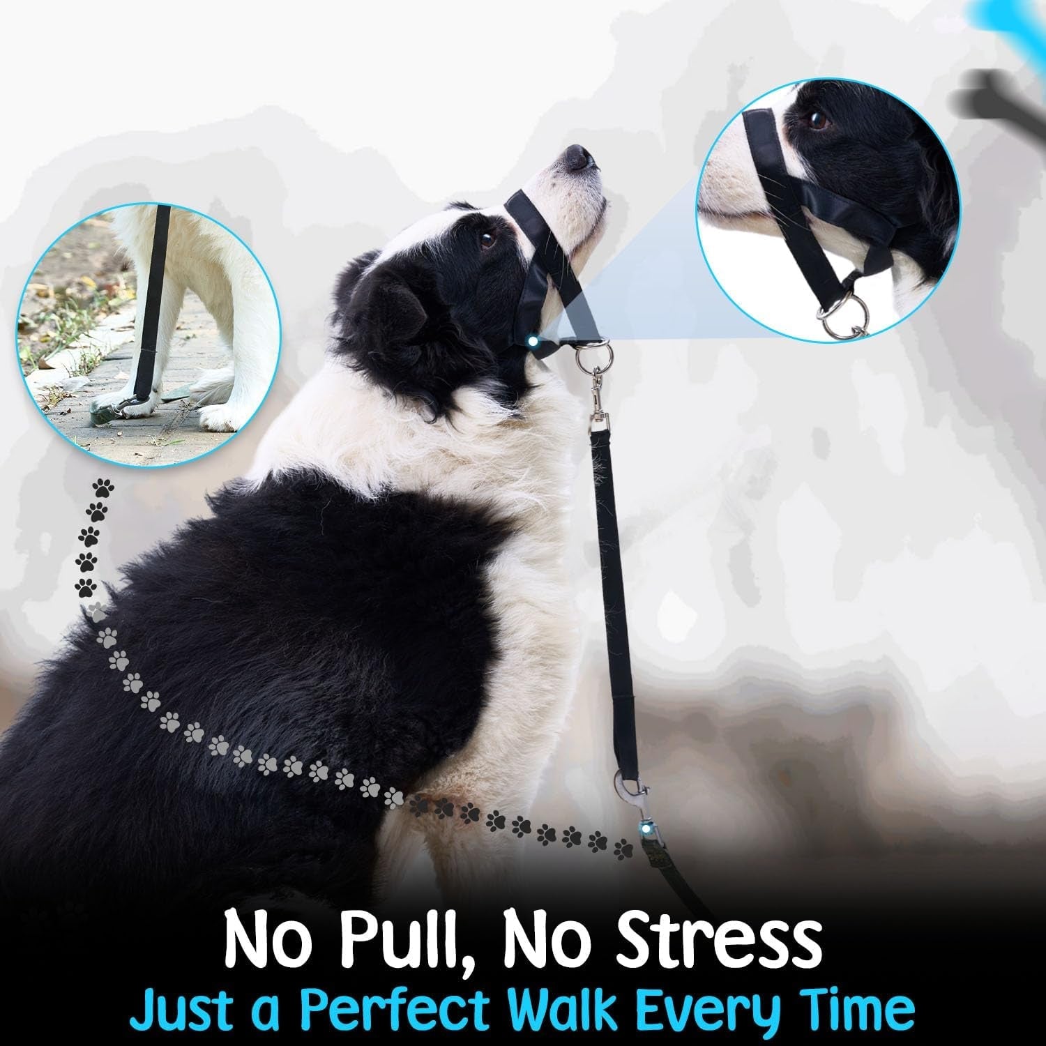 gentle-leader-for-dogs-2x-free-training-clicker-essential-gentle-leader-gentle-leader-with-quick-snap-neck-strap-nose-loop-bonus-clickers-with-wrist-strap-for-leash-training-no-pull-harness