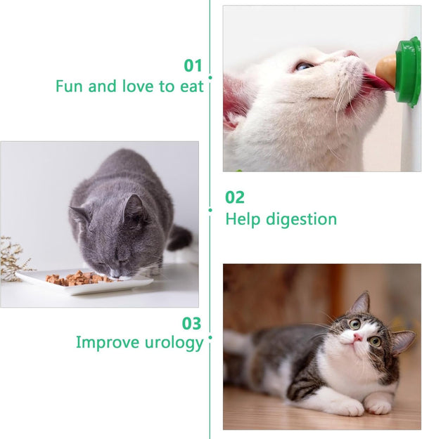 Balacoo 9 Pack Cat Snacks Candy Ball, Cat Energy Ball Toys Includes Catnip | Adhesive Wall Lickable Sugar Balls, Edible Kitty Toys - Healthy Safe Cat Treats Balls, Kitten Chew Toys for Teeth Cleaning6