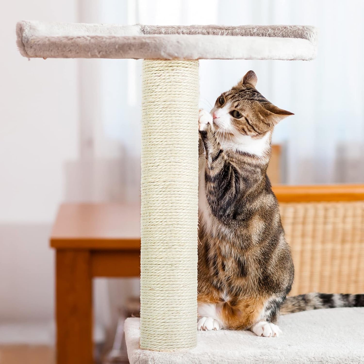 4-pcs-m8-cat-scratching-post-replacement-15-7-x-3-1-inch-sisal-pole-cat-tree-replacement-post-with-screws-refill-scratcher-posts-for-indoor-kitten-tree-tower-spare-cat-furniture-protector