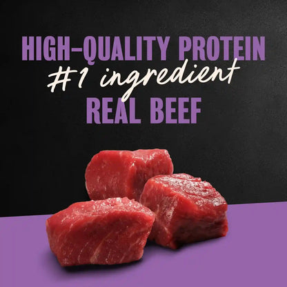 Cesar Classic Loaf in Sauce Wet Dog Food, Filet Mignon, 3.5 Oz, 24 Count | Made in USA, Real Beef #1 Ingredient, No Fillers/Added Sugar/Artificial Flavors, Use as Meal or Topper, Easy Peel Trays4