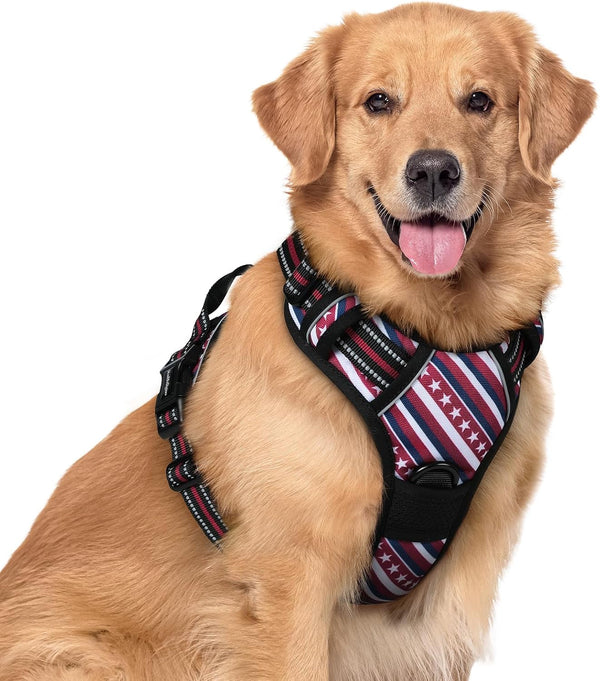 Rabbitgoo Dog Harness, No Pull for Large Dogs with 2 Leash Clips, Pet Vest | No Choke with Handle, Adjustable Soft Padded, Reflective, Easy Control for Walking, Black, Large63