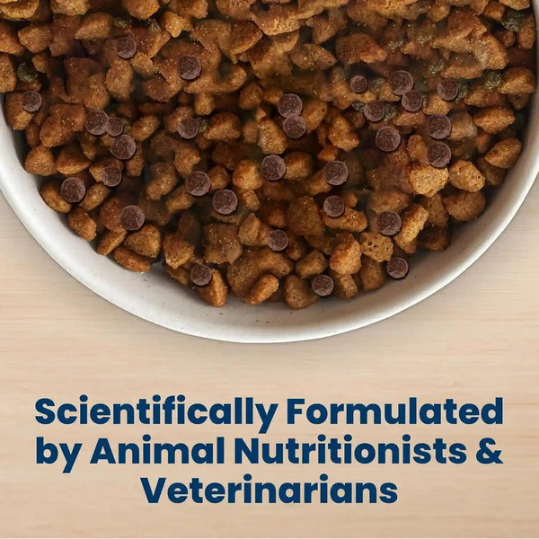 Blue Buffalo Life Protection Formula Chicken Small Breed Dry Dog Food, 5 Lb | Real Chicken #1 Ingredient, Antioxidant-Rich Lifesource Bits, Supports Higher Energy Needs, Formulated for Small Breed Dogs6
