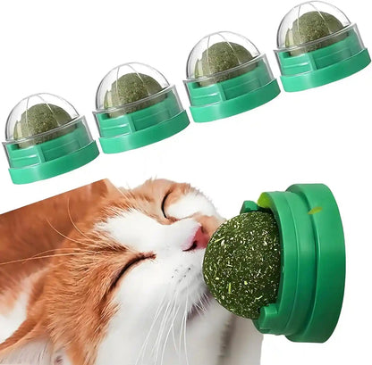 4PCS Catnip Balls for Cats Wall Catnip Toys for Cat Lick Kitten Chew Toys Teeth Cleaning Dental Edible Cat Toys1