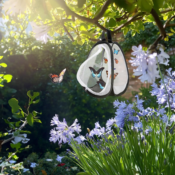 Kingrol 2 Pack Collapsible Insect & Butterfly Habitat Cage, Pop-Up Mesh Butterfly Rearing Enclosure with Clear Viewing Window, Zipper Access & Polyester Base, 7.75 X 7.75 X 11 Inch7