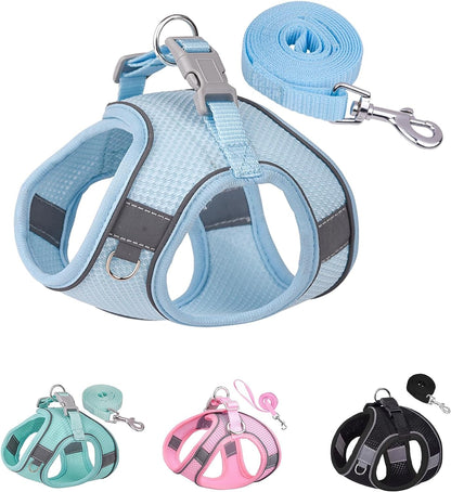 SOLMOONY Dog Harness for Small Medium Large Dogs No Pull, Puppy and Leash Set, Dogs, Step in Harness, Mesh Harness. (Pink, XS)10