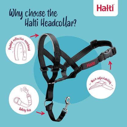 Halti Headcollar (Size 4, Black) & Halti Training Leash (Size Large, Black) | Bundle | Stop Your Dog Pulling on the Leash | Adjustable, Lightweight with Padded Nose Band | Suitable for Large Dogs3
