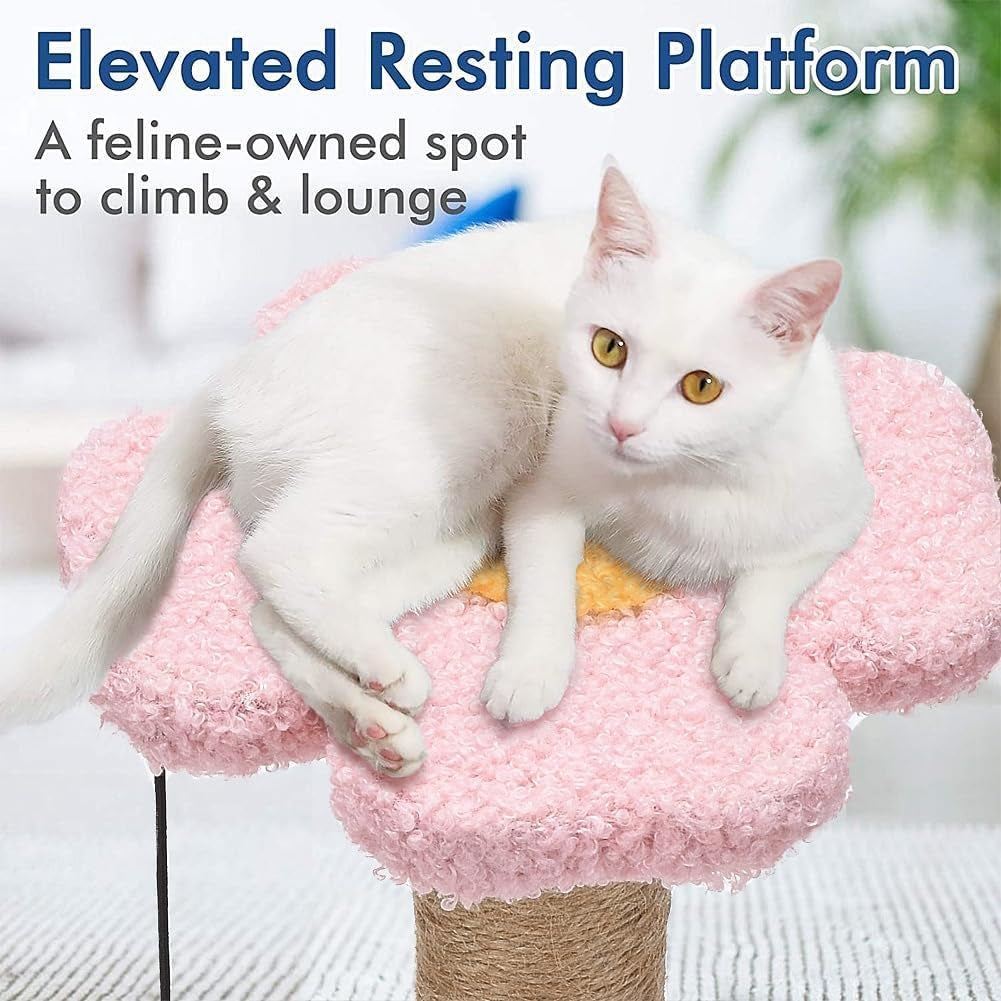 cat-scratching-post-with-ball-for-small-cat-polar-fleece-scratcher-kitten-toys-for-indoor-sisal-1-77-inch-scratch-post-interactive-toy-with-dangling-ball