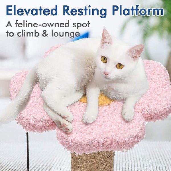 Cat Scratching Post with Ball for Small Cat, Polar Fleece Scratcher Kitten Toys for Indoor Sisal 1.77 Inch Scratch Post Interactive Toy with Dangling Ball3
