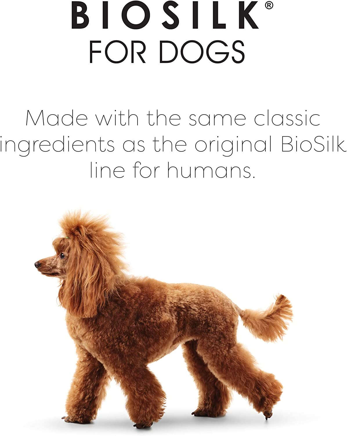 biosilk-silk-therapy-conditioning-detangling-spray-for-dogs-with-natural-coconut-oil-leave-in-detangler-and-conditioner-dematting-grooming-spray-sulfate-free-7-fl-oz-coconut-oil-formula-leave-in-detangler-sulfate-free-smooths-and-conditions-coat